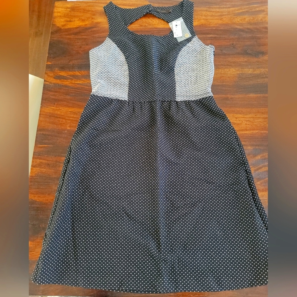 NWT The Limited Dress